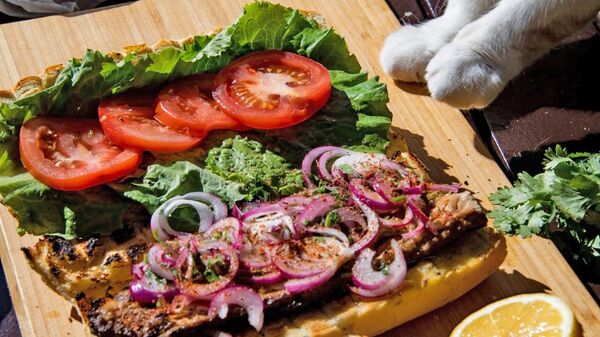 Кот Мостик готовит блюдо турецкой кухни
