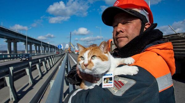 Кот Мостик с мостостроителем во время ремонта пролетов на Крымском мосту