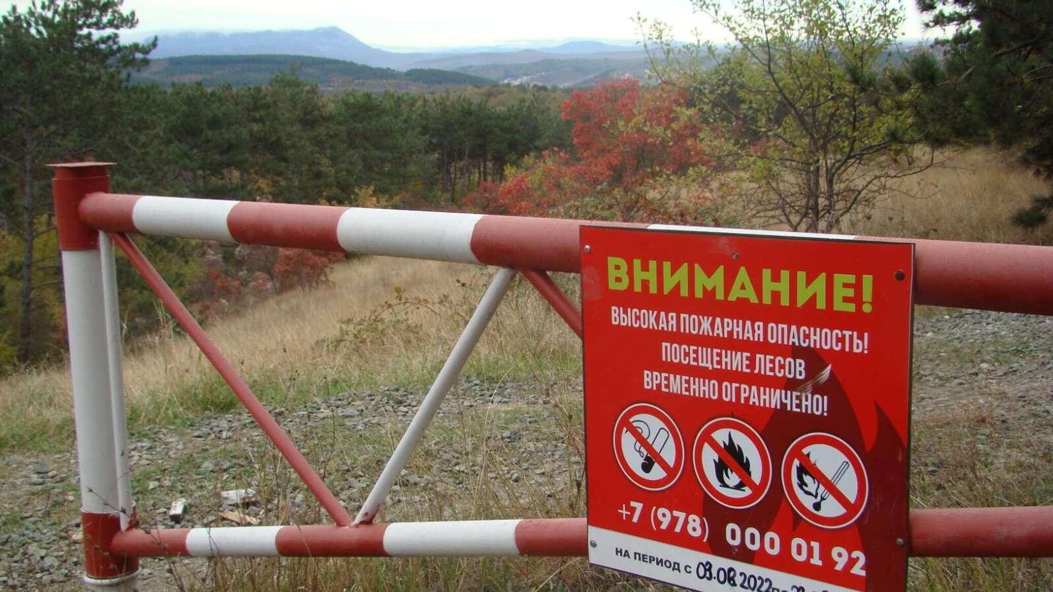 Отменили ли противопожарный режим. Табличка на шлагбаум. Продлен запрет на посещение лесов. Отменен особый противопожарный режим. Леса закрыты для посещения.