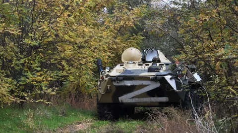БТР-80 российских военнослужащих на военной позиции 