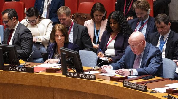 Постоянный представитель России при ООН Василий Небензя обращается к членам Совета Безопасности 