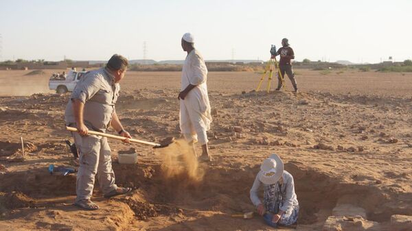 Ученые СевГУ проводят уникальные комплексные исследования в Судане