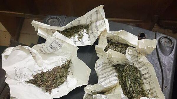 У жителей Херсонской области полицейские изъяли 20 килограммов конопли