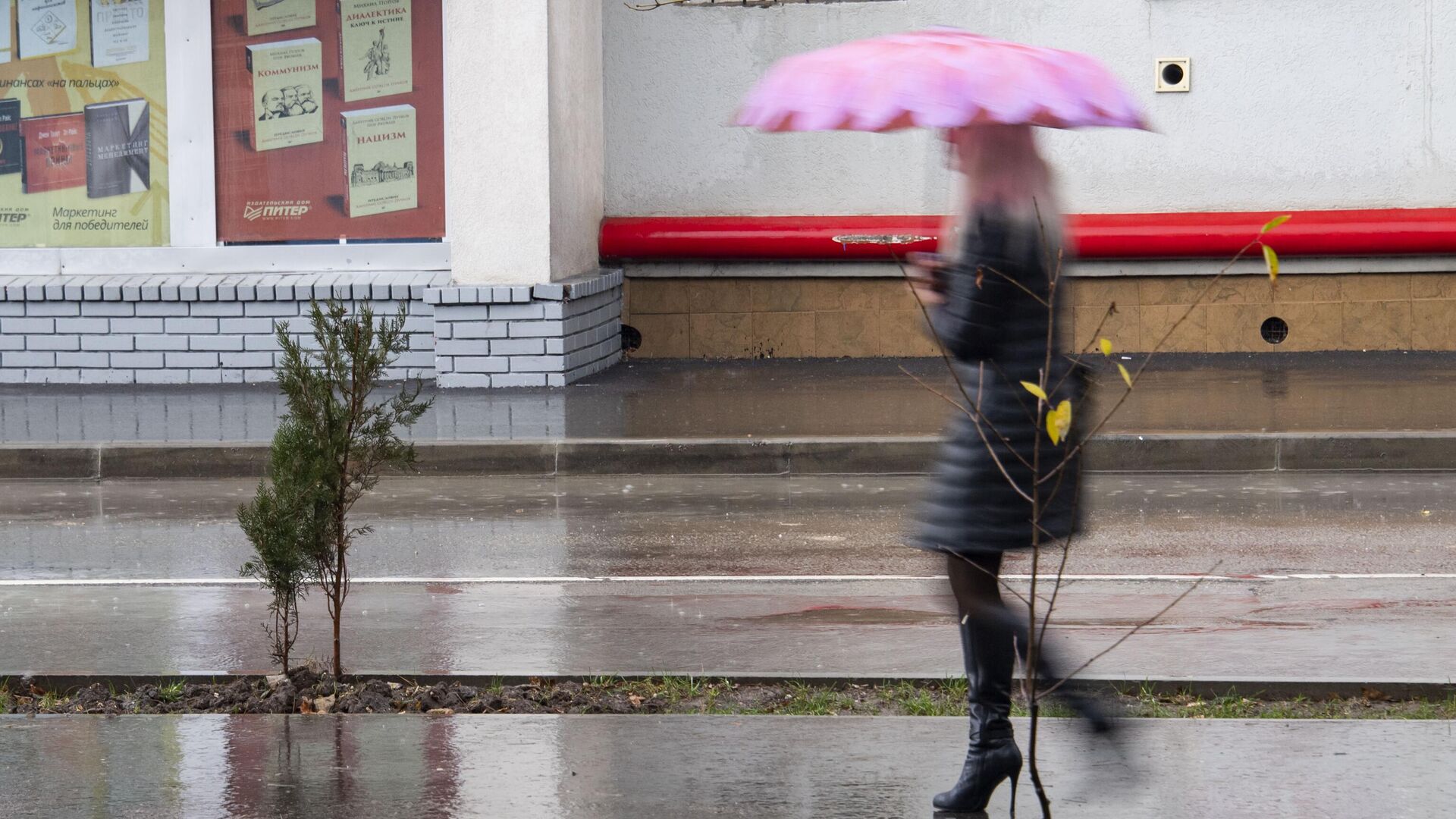 Сильный ветер и дожди накроют Крым в пятницу - РИА Новости Крым, 22.12.2023