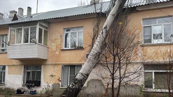 Упавшее на жилой дом дерево в Севастополе