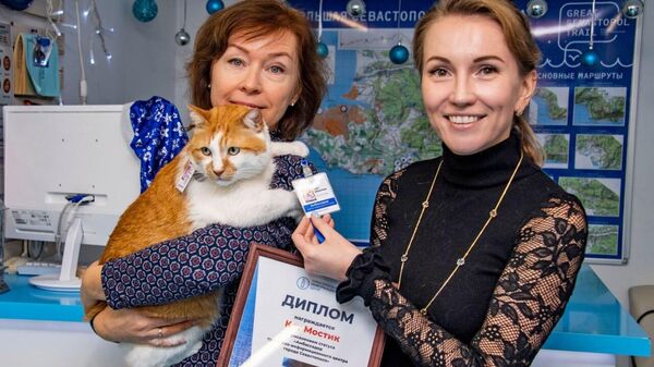 Кот-репортер Мостик стал амбассадором Севастополя по туризму