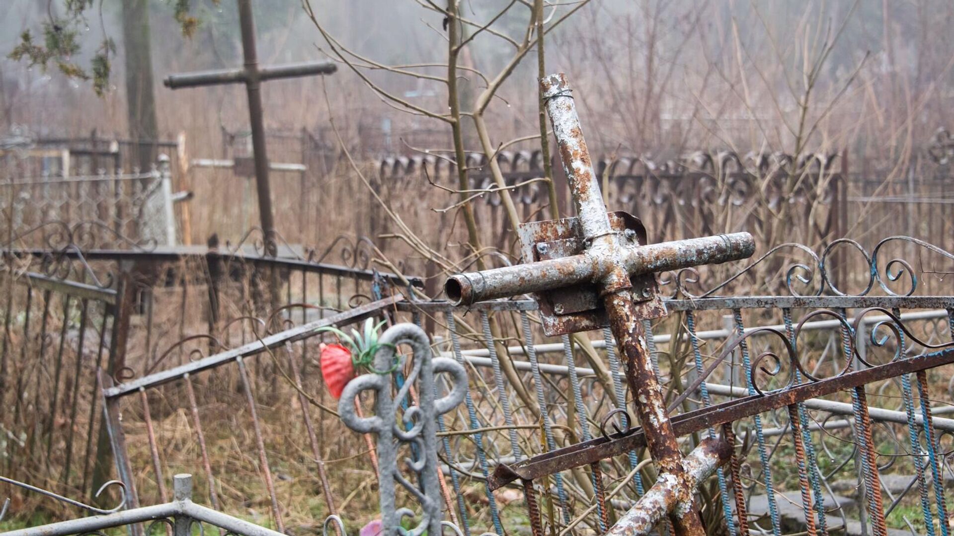 Старое кладбище в Симферополе - РИА Новости, 1920, 23.03.2023