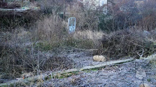 Неразорвавшуюся авиабомбу времен войны нашли в садовом товариществе в Севастополе Неразорвавшуюся авиабомбу времен войны нашли в садовом товариществе в Севастополе