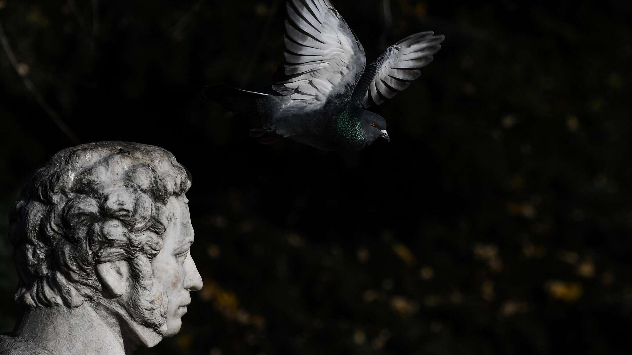 Цитирую классика. Цитирую классика. Закончить публичное выступление. Цитирую классика. Цитирование в цитировании.