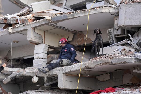 Спасатель с собакой-ищейкой обыскивает разрушенное здание в Антакье