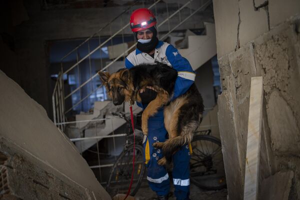Член турецкой группы по защите прав животных HAYTAP спасает собаку, которая провела семь дней в ловушке в доме, пострадавшем от землетрясения, в Антакье