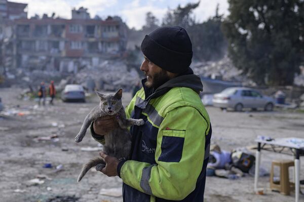 Мужчина держит спасенную кошку, Турция