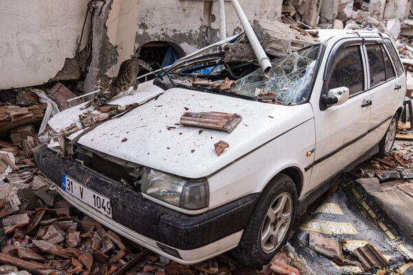 Кошка потягивается на разрушенной машине после землетрясения силой 6,4 балла в провинции Хатай на юге Турции