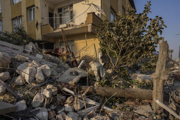 Кошка спит на развалинах дома, пострадавшего от землетрясения в Антакье, юго-восток Турции