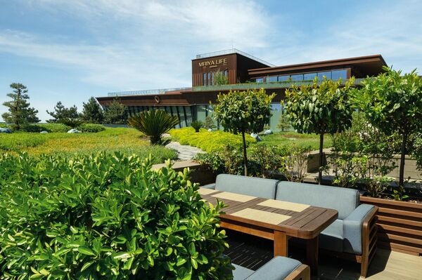 Институт активного долголетия Mriya Life