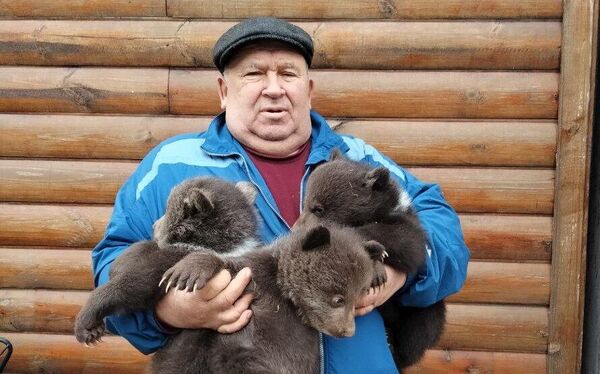 Зоопарк 3 медведя. Медведь в зоопарке.