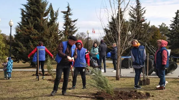 На Сапун-горе в Севастополе высадили туи и цветы в Саду памяти