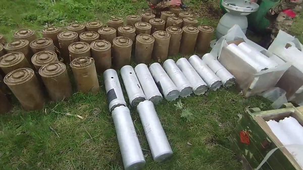 Тайник с 200 боеприпасами вскрыли в Запорожской области