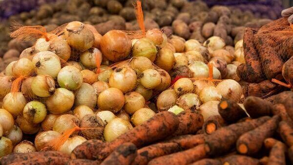 Херсонская и Запорожская области поставят в Крым до тысячи тонн овощей и фруктов в неделю