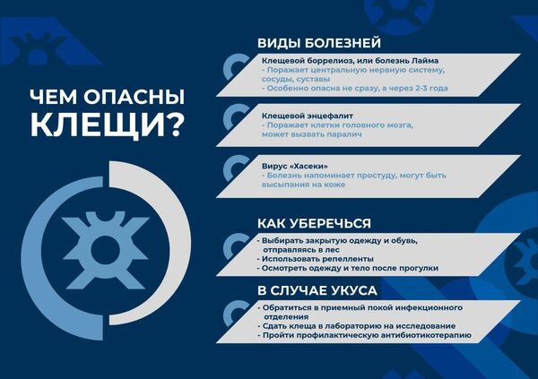 Клещи могут быть переносчиками до 10 разных вирусов - как уберечься Клещи могут быть переносчиками до 10 разных вирусов - как уберечься