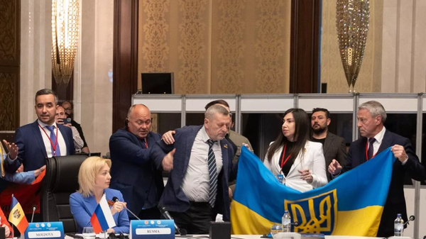 Члены украинской делегации на саммите ПАЧЭС в Анкаре