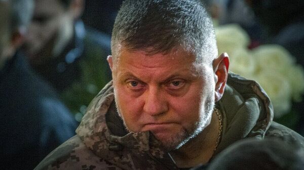 Главнокомандующий Вооруженных Сил Украины Валерий Залужный