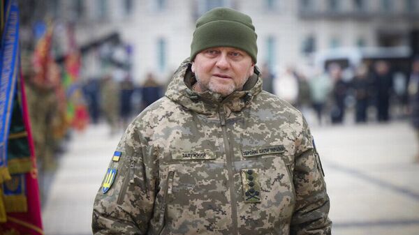 Главнокомандующий Вооруженными силами Украины Валерий Залужный 