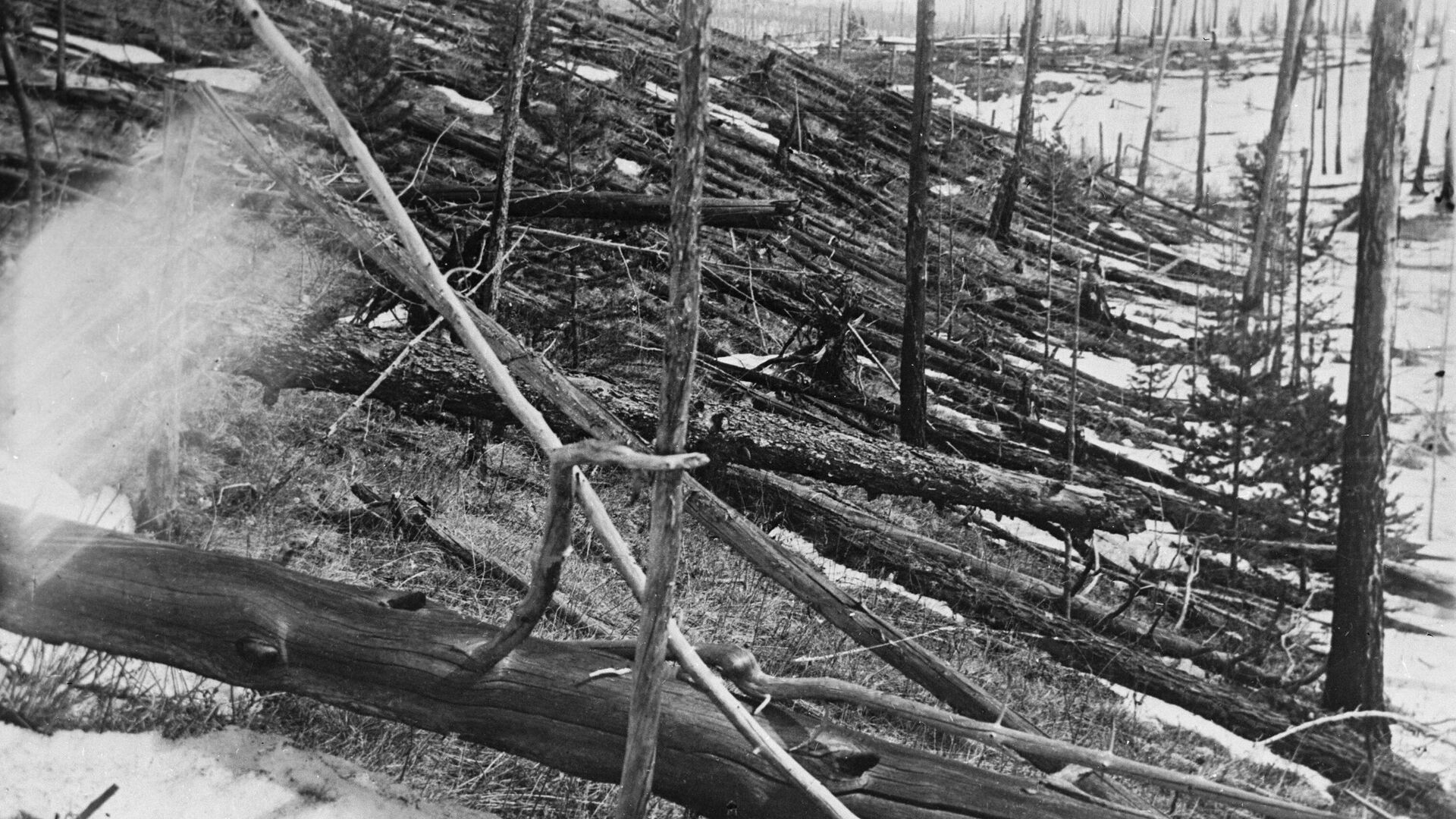 Обгоревший лес в районе взрыва Тунгусского метеорита - РИА Новости, 1920, 30.06.2023