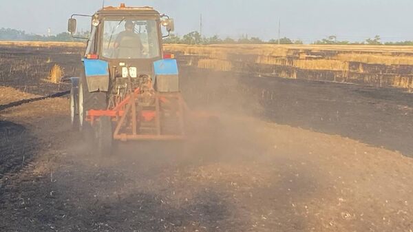 В Красногвардейском районе огонь уничтожил гектар пшеницы