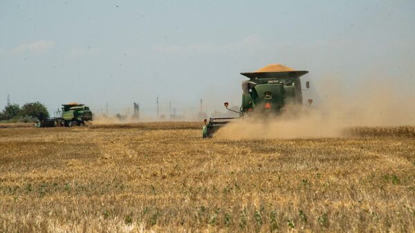 Уборка зерновых в Херсонской области