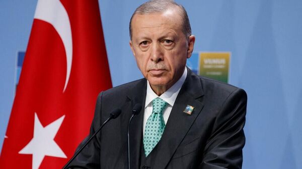 Президент Турции Реджеп Тайип Эрдоган дает пресс-конференцию во время саммита НАТО в Вильнюсе