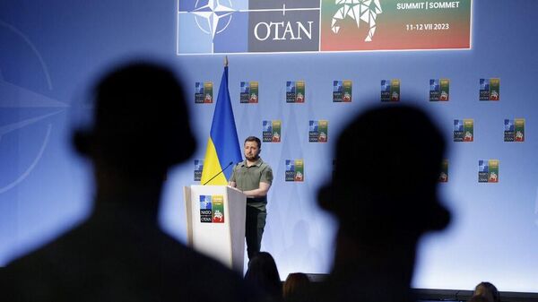 Президент Украины Владимир Зеленский дает пресс-конференцию во время саммита НАТО в Вильнюсе 12 июля 2023 года. 