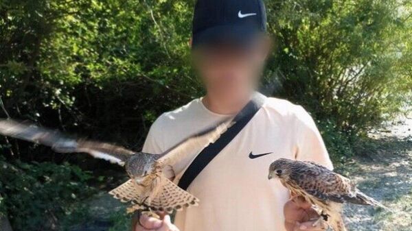 В Алуште полицейские забрали диких птиц у фотографа-живодера