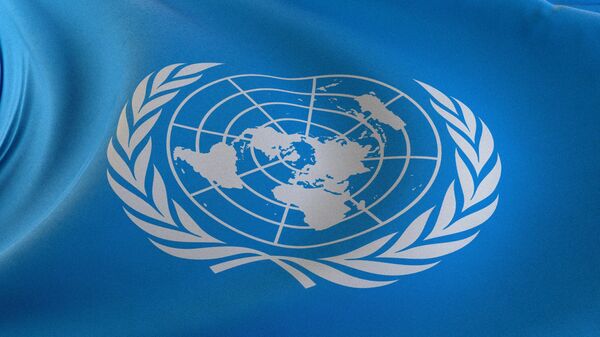 Флаг Организации Объединённых Наций (ООН).