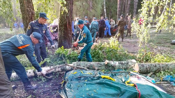 Спасатели МЧС России расчищают поваленные ураганом деревья в палаточном городке у озера Яльчик в Марий-Эл