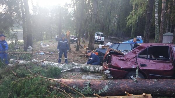 Спасатели МЧС России расчищают поваленные ураганом деревья в палаточном городке у озера Яльчик в Марий-Эл