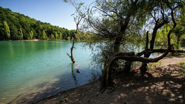 Озеро Юбилейное Крым село Запрудное