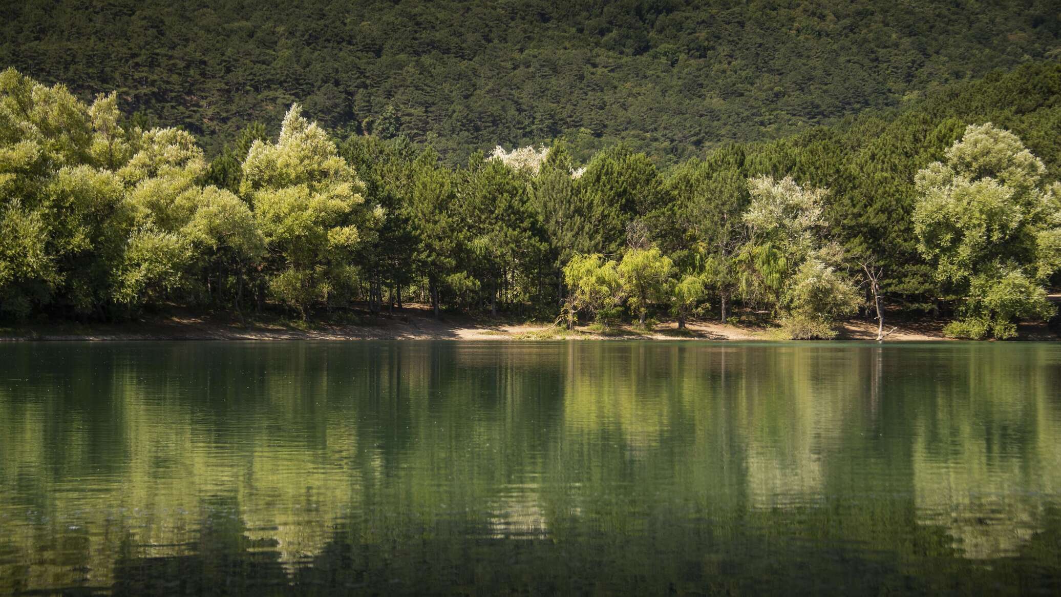 Озеро Юбилейное Крым село Запрудное