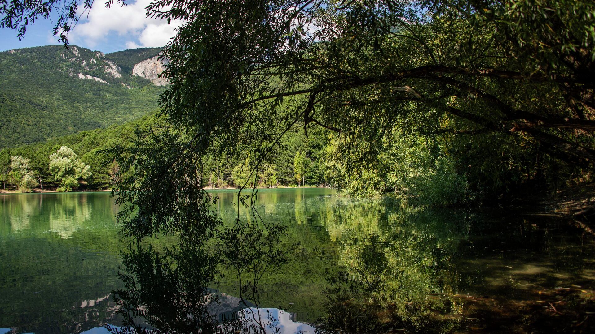 Водохранилище озерного типа Юбилейное - РИА Новости, 1920, 08.11.2025