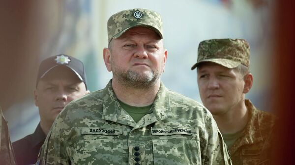 Главнокомандующий Вооруженными Силами Украины Валерий Залужный 