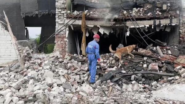 Кинолог с собакой обследуют завалы на месте взрыва на территории Загорского оптико-механического завода в Сергиевом Посаде