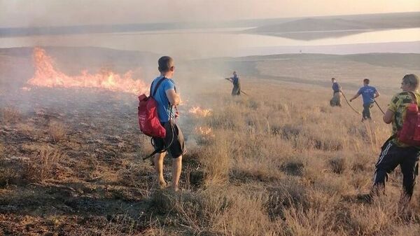 Сотрудники государственного природного заповедника Опукский не допустили распространение огня на территории заповедника