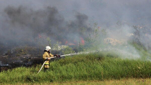 Пожарный тушит возгорание растительности в Крыму