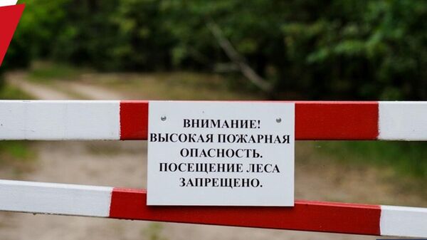 Ограничение на посещение крымских лесов