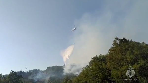 Тушение лесного пожара в Геленджике