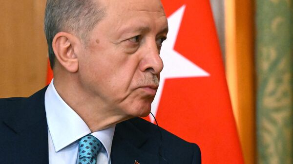 Президент РФ Владимир Путин провел переговоры с президентом Турции Реджепом Эрдоганом