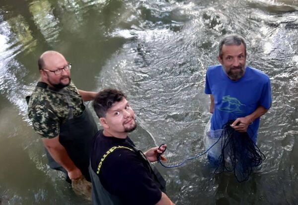 Исследования, проводимые для экосистемы внутренних водоемов Крыма