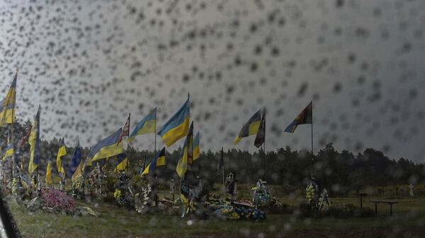 Кладбище погибших военнослужащих  ВСУ.
