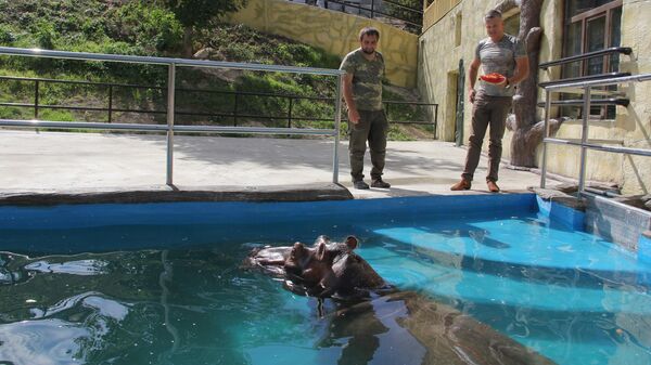 В Бахчисарайском зоопарке поселился бегемот