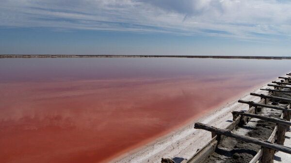 Cбор уникальной розовой соли в Крыму